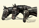 Three Mountie Horses
